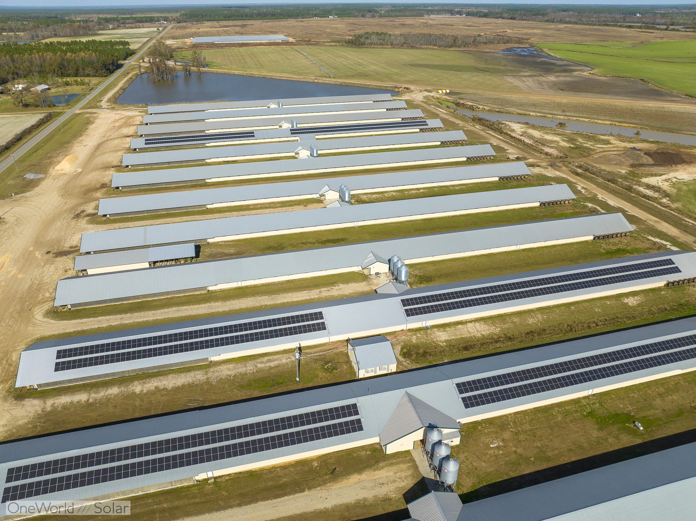 Aerial view of the 450 kW solar array OneWorld Solar installed across a 14-house broiler poultry farm in Georgia